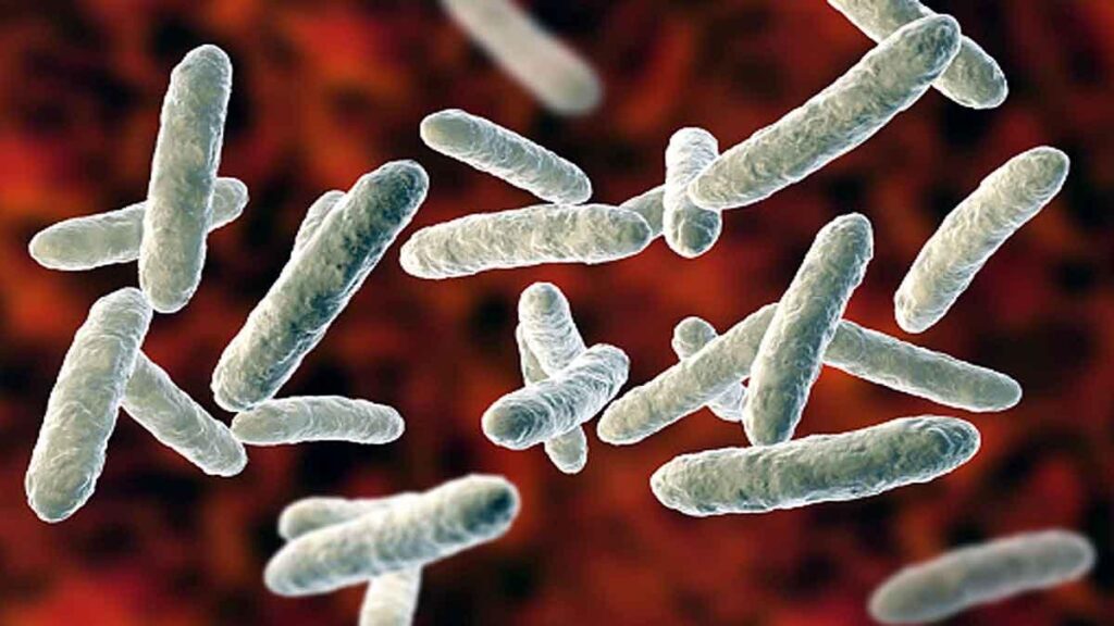 Symptoms-Of-skin-Bacterial-Infection